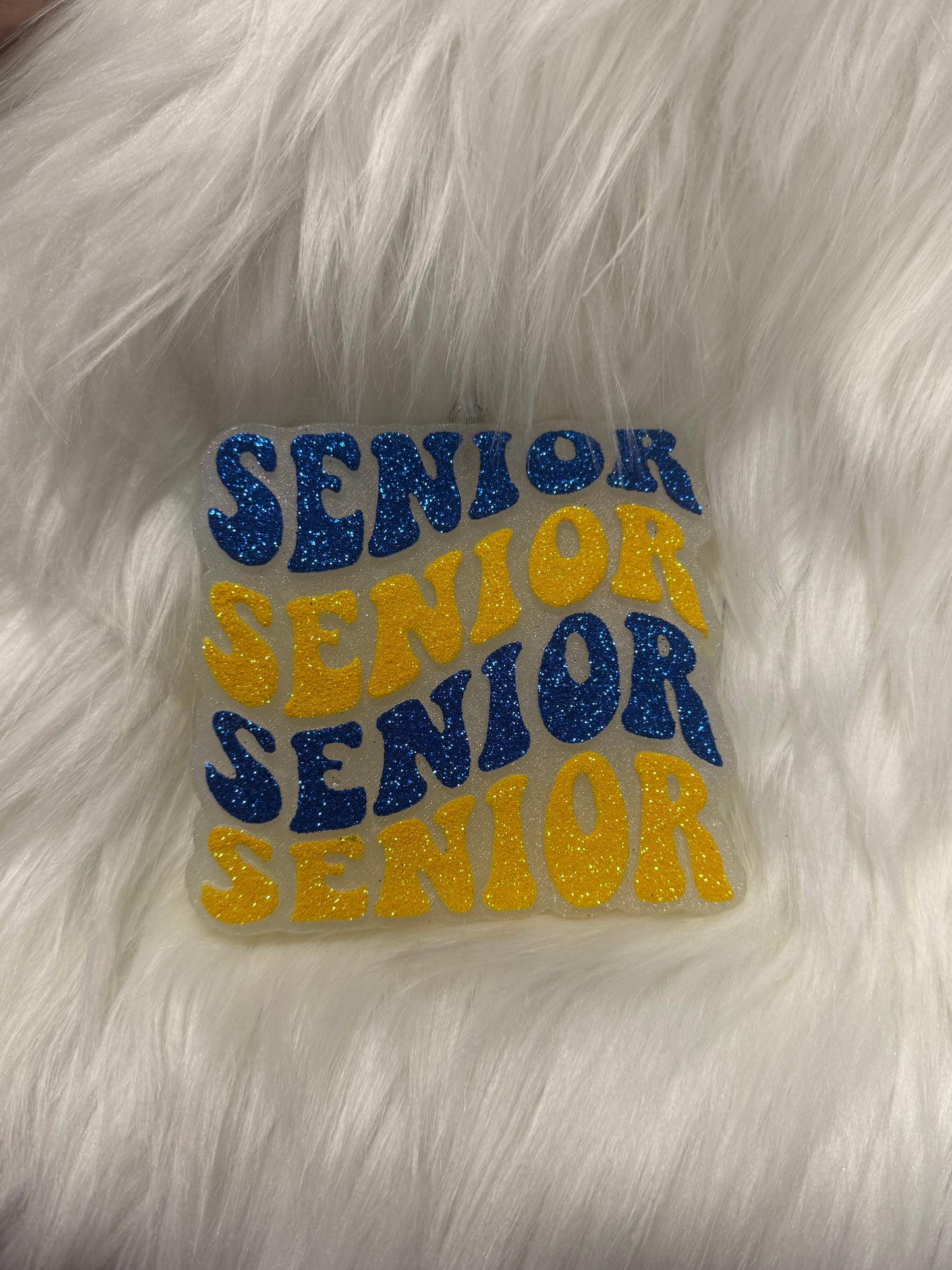Senior x4